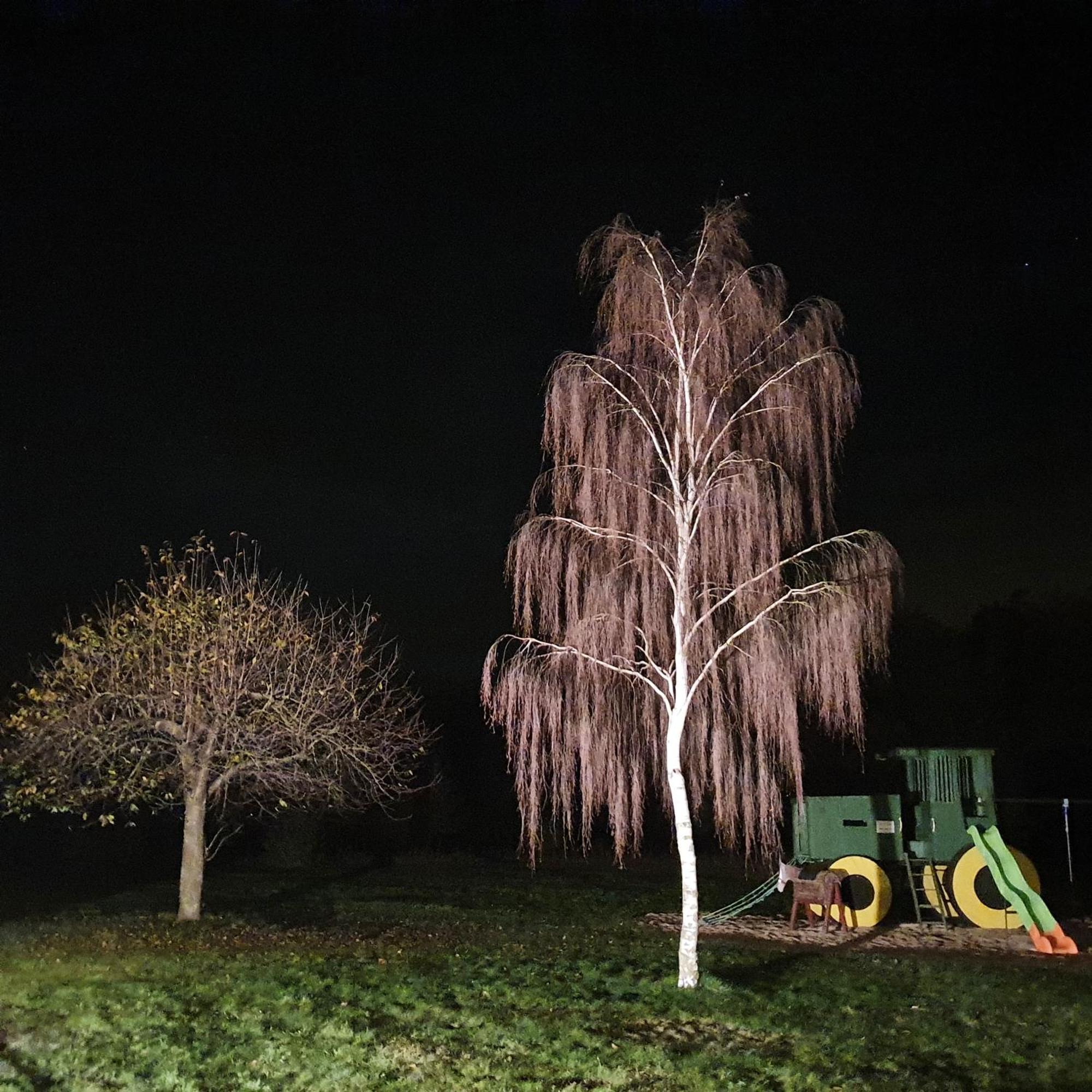 Hotel A2 Schopsdorf  Bagian luar foto